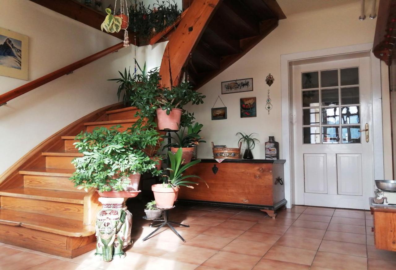 Marta'S House Guest House เบลด ภายนอก รูปภาพ